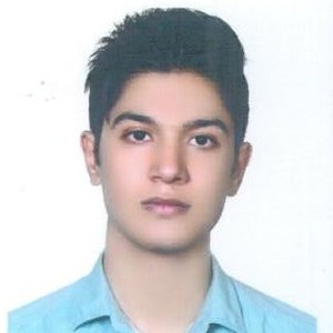 پروفایل سید حسن امینی