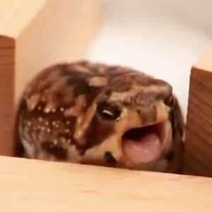 پروفایل سپهر قرشی