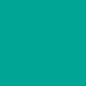 پروفایل فاران پندارنیک