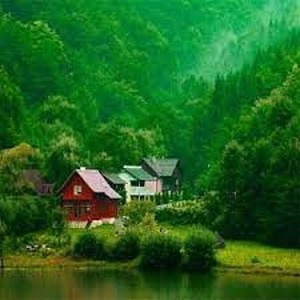 پروفایل saman javidan