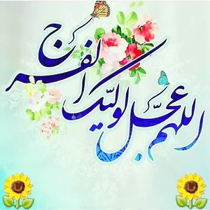 پروفایل محمد طاها جلیلی