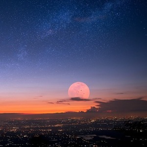 پروفایل amirreza Askarie