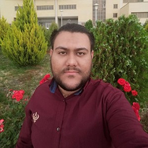 پروفایل سید علی حسینی نسب