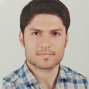 پروفایل هادی سلیمانی