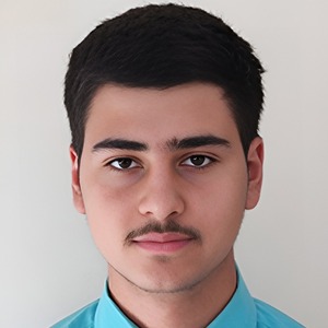 پروفایل علی نوروزی
