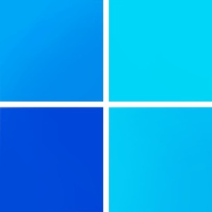 پروفایل محمدرضا شادالوئی