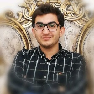 پروفایل سید محمد حسین لطفی زاده