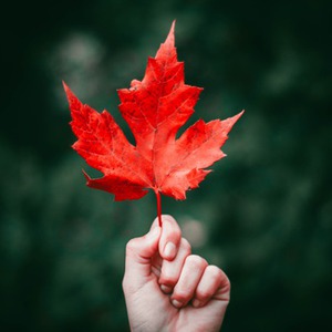 پروفایل حمیدرضا لطیفی