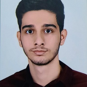 پروفایل حامد کریمی