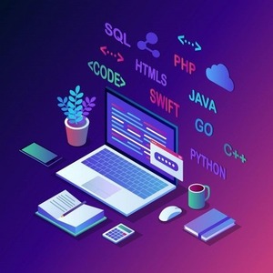 پروفایل مهربد رضایی