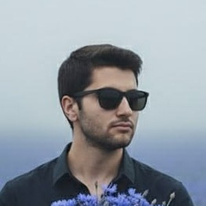 پروفایل محمد پویا پورارشد