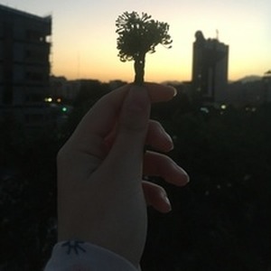 پروفایل آیناز شهرداد