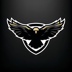 پروفایل امیرحسین صانعیان