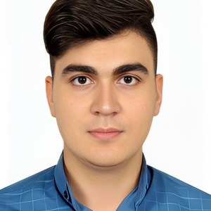 پروفایل امیر محمد پرویزی
