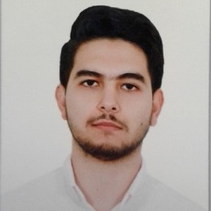 پروفایل علی بیک دولتی