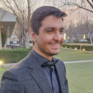 پروفایل آریا همتی