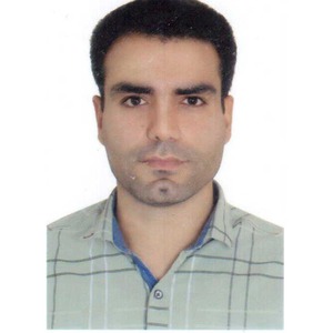 پروفایل محمدحسین صمدی