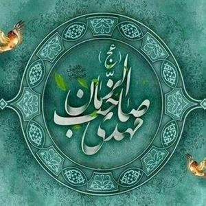 پروفایل زهرا سادات نیا