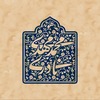 پروفایل محمدمهدی نادری