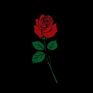 پروفایل محمد حسین کیوانفر