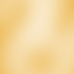 پروفایل محمدحسن فاطمی