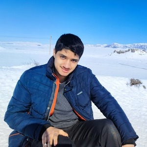 پروفایل سید احمد رکنی حسینی