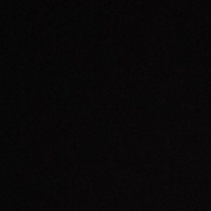 پروفایل نازنین شجاعی