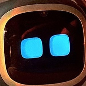 پروفایل آریا گل کش