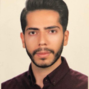 پروفایل mohammad reza nafisi