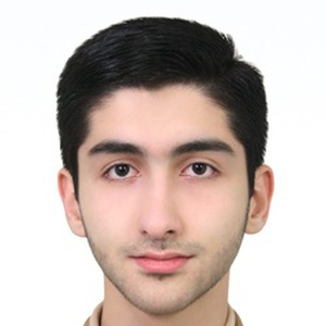 پروفایل محمدهادی مرکبی اصفهانی