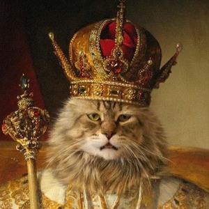 پروفایل King meow