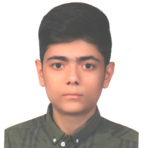 پروفایل Amirarsalan Mansouri