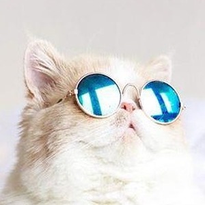 پروفایل پارسا صمیمی