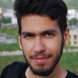 پروفایل رضا فریدونی