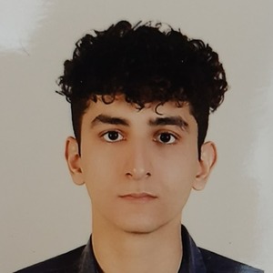 پروفایل امیر عباس رضواندر