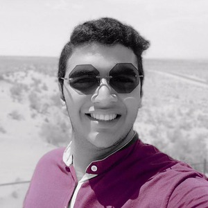 پروفایل علی مصلحی