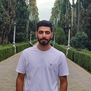 پروفایل علی حسنی