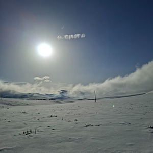 پروفایل مریم عزیزپور