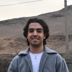 پروفایل محمد حسینی