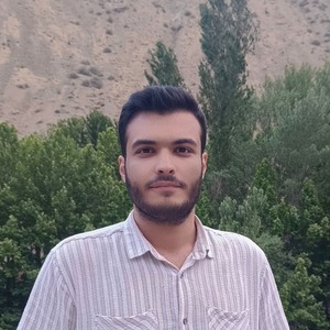 پروفایل پیمان خلیلی