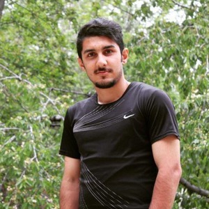 پروفایل محمد امین میرزایی