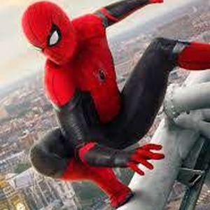 پروفایل Spider Man