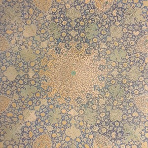 پروفایل صبا نفیسی