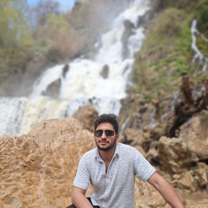 پروفایل سید علی میرلوحی