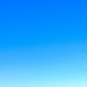 پروفایل سورنا ماجدی