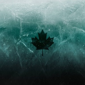 پروفایل البرز طهرانچی