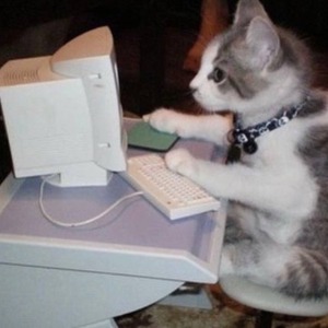 پروفایل فرهام فرجی‌زاده