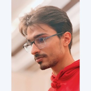 پروفایل فرزین حاج غلامرضایی