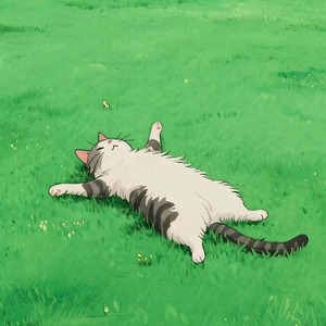 پروفایل Taha Sadeghi