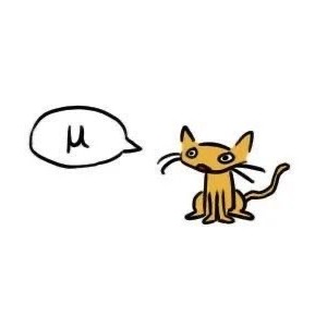پروفایل پارسا محسنی